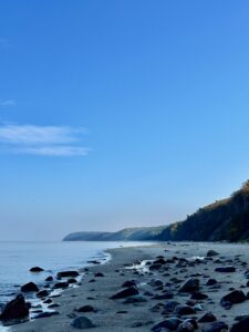 IMG_4815
