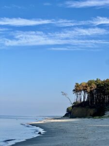 IMG_4875